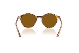 Achteraanzicht Ray-Ban RB2230 (135733)
