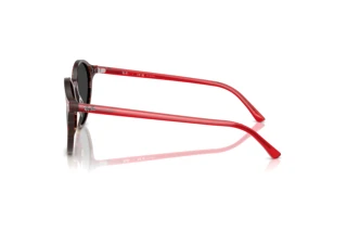Zijaanzicht Ray-Ban BERNARD (RB2230 - 141948)