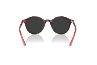 Achteraanzicht Ray-Ban BERNARD (RB2230 - 141948)