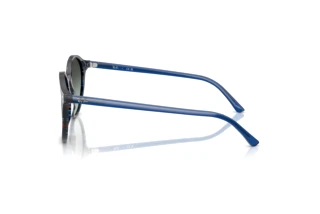 Zijaanzicht Ray-Ban BERNARD (RB2230 - 1420GK)