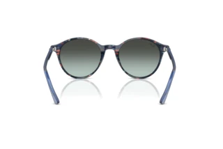 Achteraanzicht Ray-Ban BERNARD (RB2230 - 1420GK)