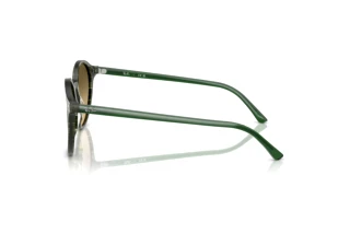 Zijaanzicht Ray-Ban BERNARD (RB2230 - 14210A)