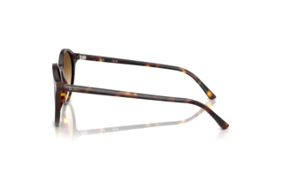 Zijaanzicht Ray-Ban BERNARD (RB2230 - 902/51)