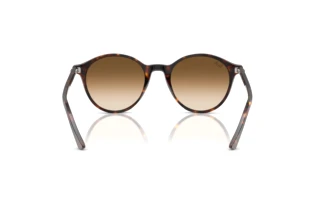 Achteraanzicht Ray-Ban BERNARD (RB2230 - 902/51)