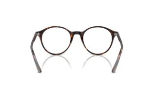 Achteraanzicht Ray-Ban BERNARD (RB2230 - 902/GH)