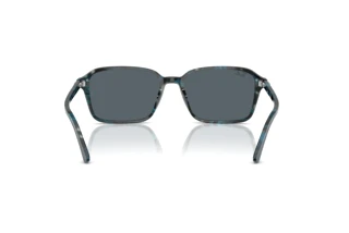Achteraanzicht Ray-Ban RAIMOND (RB2231 - 1417R5)