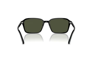 Achteraanzicht Ray-Ban RAIMOND (RB2231 - 901/31)