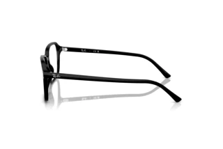 Zijaanzicht Ray-Ban RAIMOND (RB2231 - 901/GG)