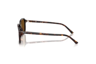 Zijaanzicht Ray-Ban RAIMOND (RB2231 - 902/57)