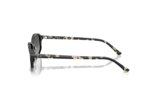 Zijaanzicht Ray-Ban RB2232 (133371)