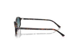 Zijaanzicht Ray-Ban RB2232 (13563M)