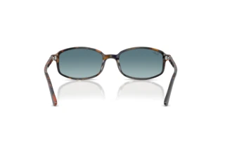 Achteraanzicht Ray-Ban RB2232 (13563M)