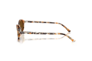Zijaanzicht Ray-Ban RB2232 (135757)