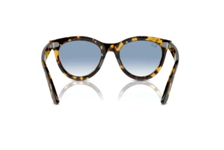 Achteraanzicht Ray-Ban WAYFARER WAY (RB2241 - 13323F)