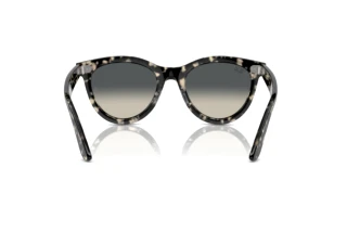 Achteraanzicht Ray-Ban WAYFARER WAY (RB2241 - 133371)