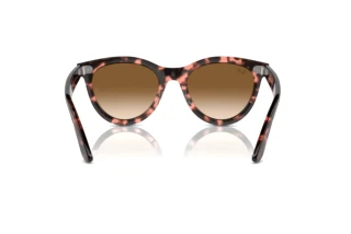 Achteraanzicht Ray-Ban WAYFARER WAY (RB2241 - 133451)
