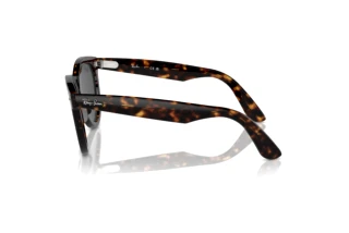 Zijaanzicht Ray-Ban WAYFARER WAY (RB2241 - 902/B1)