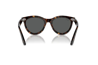 Achteraanzicht Ray-Ban WAYFARER WAY (RB2241 - 902/B1)