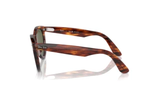 Zijaanzicht Ray-Ban WAYFARER WAY (RB2241 - 954/58)