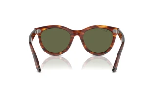 Achteraanzicht Ray-Ban WAYFARER WAY (RB2241 - 954/58)