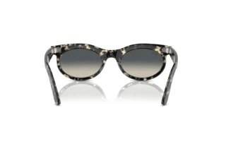 Achteraanzicht Ray-Ban WAYFARER OVAL (RB2242 - 133371)