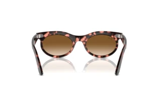 Achteraanzicht Ray-Ban WAYFARER OVAL (RB2242 - 133451)
