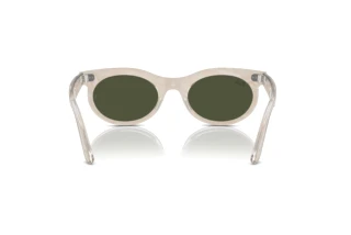 Achteraanzicht Ray-Ban WAYFARER OVAL (RB2242 - 138331)