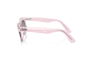 Zijaanzicht Ray-Ban WAYFARER OVAL (RB2242 - 138432)