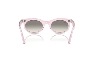 Achteraanzicht Ray-Ban WAYFARER OVAL (RB2242 - 138432)