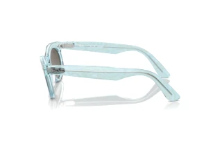 Zijaanzicht Ray-Ban WAYFARER OVAL (RB2242 - 138596)