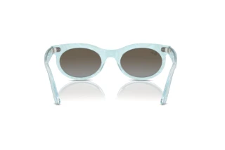 Achteraanzicht Ray-Ban WAYFARER OVAL (RB2242 - 138596)