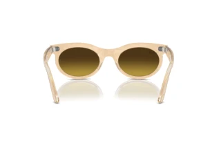 Achteraanzicht Ray-Ban WAYFARER OVAL (RB2242 - 138685)