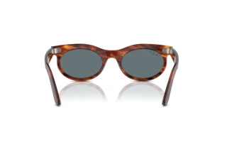 Achteraanzicht Ray-Ban WAYFARER OVAL (RB2242 - 954/3R)