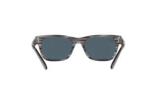 Achteraanzicht Ray-Ban MR BURBANK (RB2283 - 1314R5)