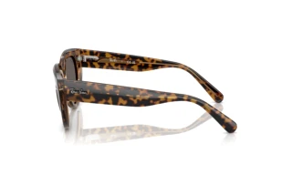 Zijaanzicht Ray-Ban DOREEN (RB2286 - 1292B1)