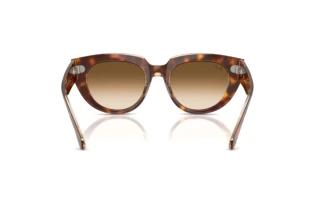 Achteraanzicht Ray-Ban DOREEN (RB2286 - 141451)