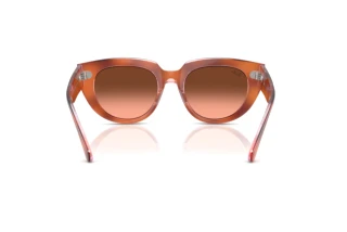 Achteraanzicht Ray-Ban DOREEN (RB2286 - 1415A5)