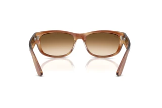 Achteraanzicht Ray-Ban MEGA BALORAMA (RB2289 - 140351)