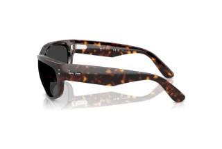 Zijaanzicht Ray-Ban MEGA BALORAMA (RB2289 - 902/48)