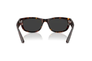 Achteraanzicht Ray-Ban MEGA BALORAMA (RB2289 - 902/48)