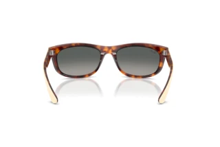 Achteraanzicht Ray-Ban BALORAMA (RB2489 - 144371)