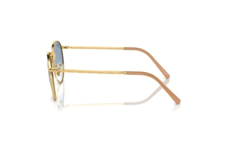 Zijaanzicht Ray-Ban NEW ROUND (RB3637 - 001/3F)