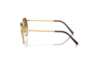 Zijaanzicht Ray-Ban NEW ROUND (RB3637 - 001/51)