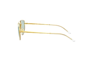 Zijaanzicht Ray-Ban RB3668 (001/Q5)