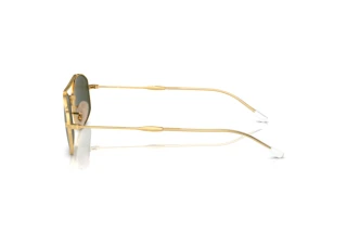 Zijaanzicht Ray-Ban RB3719 (001/31)