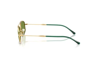Zijaanzicht Ray-Ban RB3719 (001/4E)