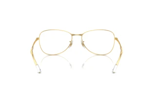 Achteraanzicht Ray-Ban RB3733 (001/GH)