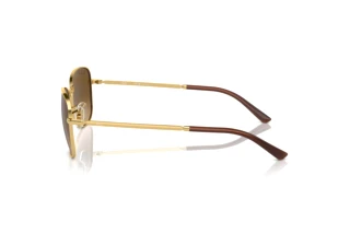 Zijaanzicht Ray-Ban RB3733 (001/M2)