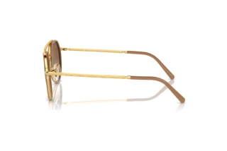 Zijaanzicht Ray-Ban RB3765 (001/51)