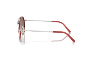 Zijaanzicht Ray-Ban RB3765 (003/7O)